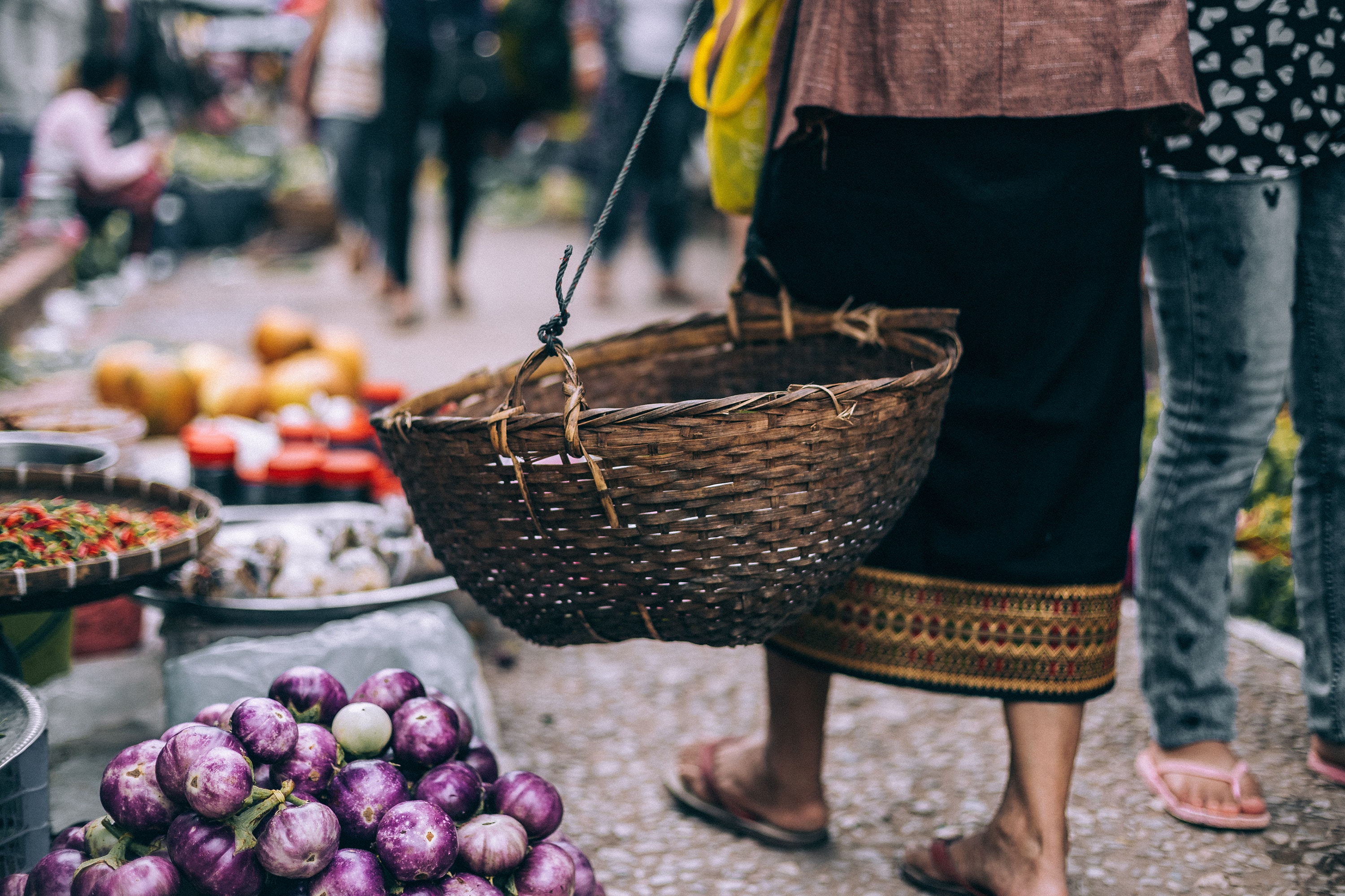 Call for Proposals: Agrobiodiversity for Improved Food Security and Nutrition - fundsforNGOs