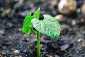 UKRI Funding: Interdisciplinary Environmental Social Science Leadership Team – UK