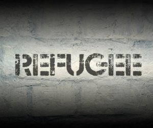 UNDP Public Call for the Unemployed Roma and Returnees in Serbia