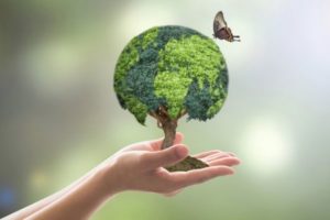 UNDP RFP: Landscape Analysis of Skill and Employment Ecosystem in India