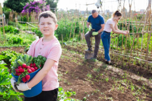 Grant: Rural Community Development Initiative (US)