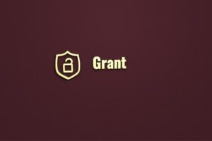 CVCF seeking Applications for Neighbourhood Small Grants (Canada)