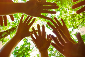 Pepsico Greenhouse Accelerator: MENA Sustainability Edition