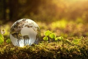 USAID Open Call for Strengthening Landscapes Management and Conservation (India)
