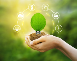 Investigation Grants for Environmental Journalism