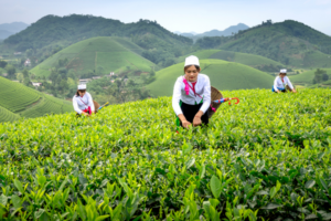 USAID Global Fund for Women - Localization Activity