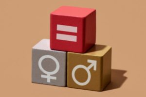 Open Call: Capacity Building in Gender Responsive Budgeting and Sustainable Response