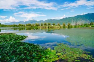 call for research proposal 2021 indonesia $30,000 Grants Available under Nagao Wetland Fund