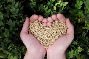Request for Proposals: Scoping Study on Environmental Frames in Bangladesh