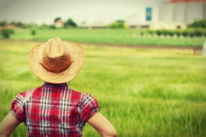 Green Accountability Global Call for Proposals