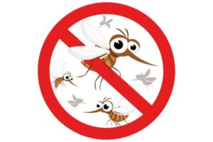 Call for Nominations: Malaria Champions of the Americas 2023