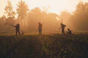 Call for Proposals: Impact Finance for Global Value Chain to support SMEs in the Commodity Sector